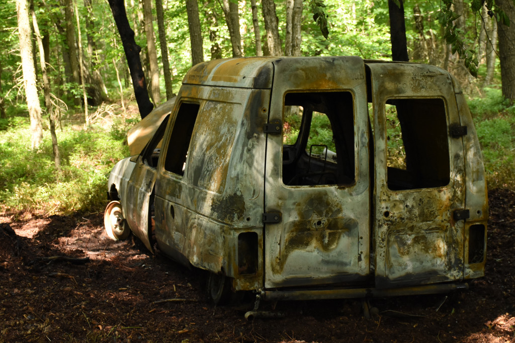 Spalony citroen porzucony w lesie