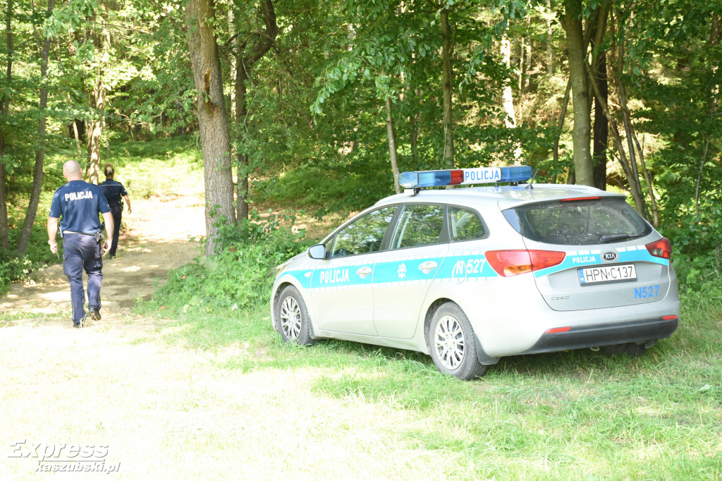 Spalony citroen porzucony w lesie