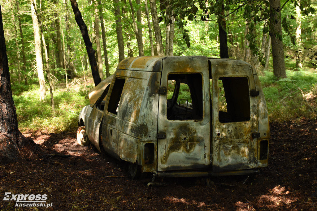 Spalony citroen porzucony w lesie
