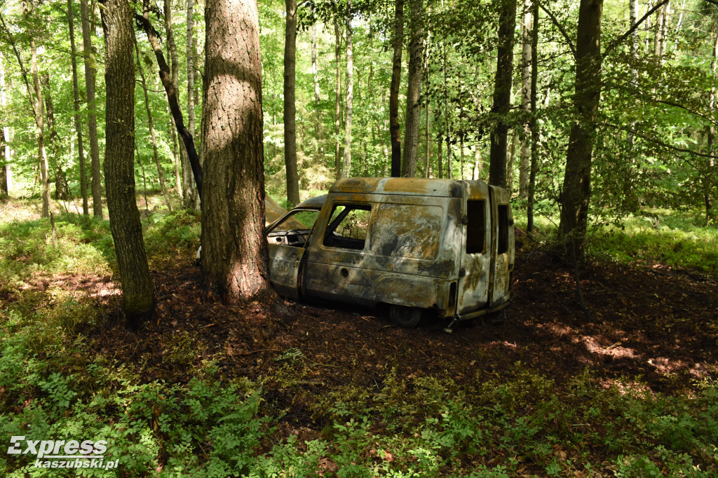 Spalony citroen porzucony w lesie