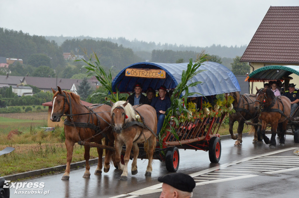 Dożynki gm. Somonino w Goręczynie