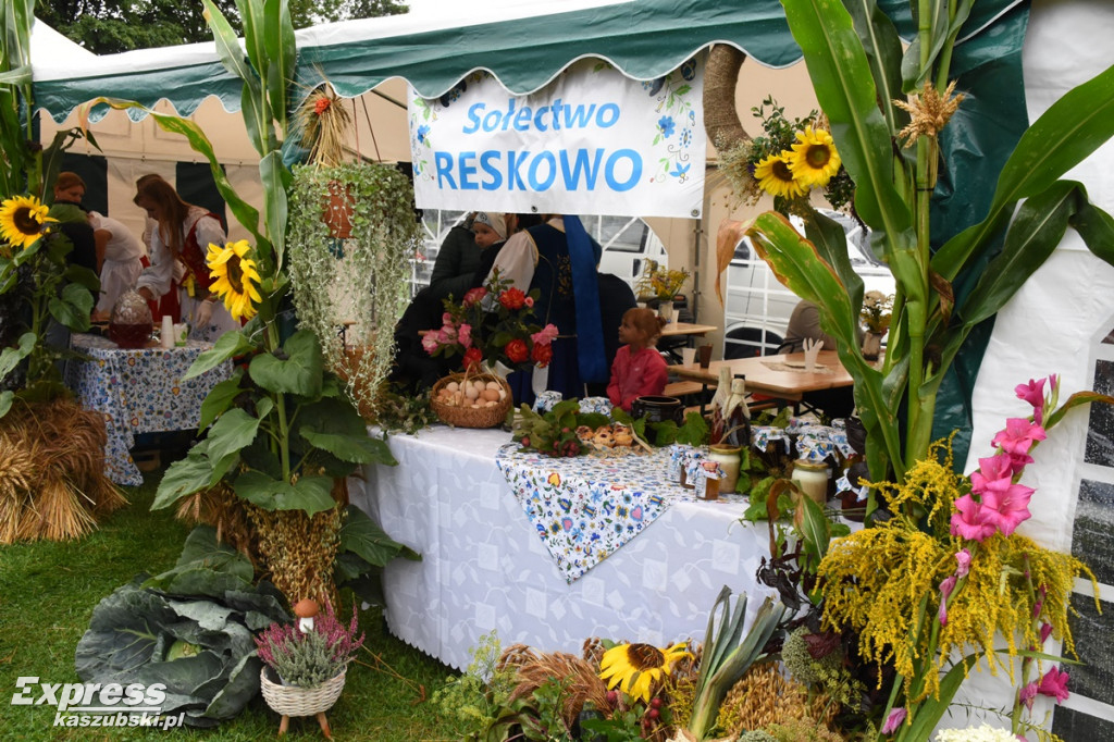 Mistrzostwa w Zażywaniu Tabaki