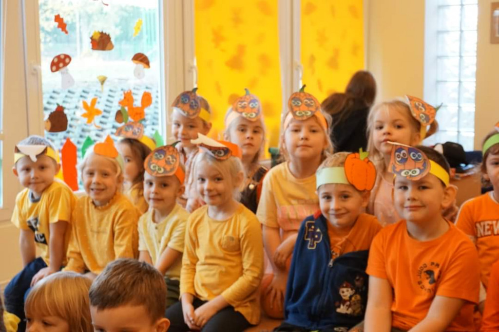 Konkurs dyni