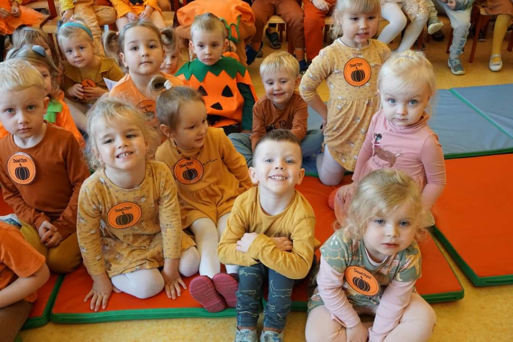 Konkurs dyni
