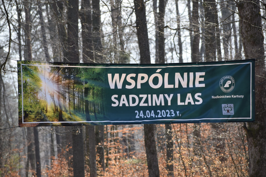 Sadzenie lasu pamięci Jana Pawła II