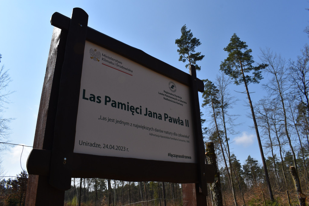 Sadzenie lasu pamięci Jana Pawła II