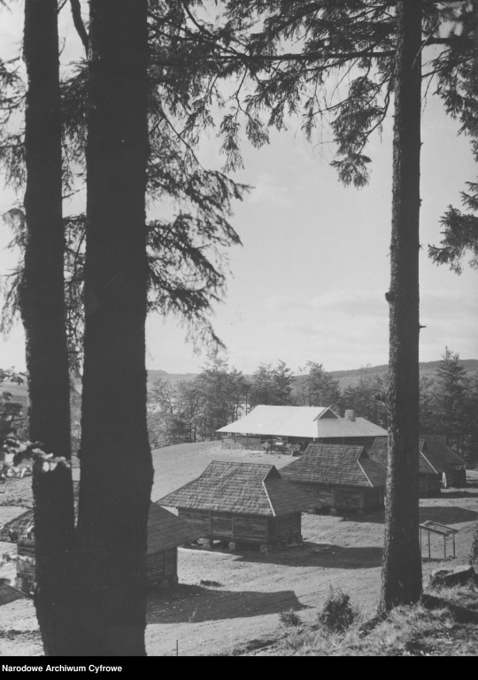 Obóz gdyńskiego ogniska YMCA nad Jez. Ostrzyckim