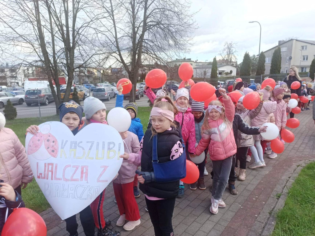 Akcja DKMS w Sierakowiach
