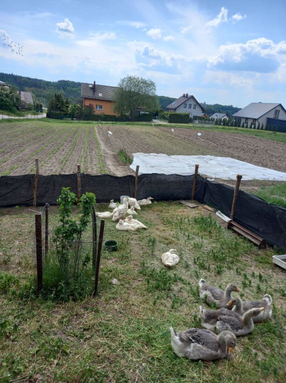 Laureaci konkursu Piękna Wieś w gm. Kartuzy
