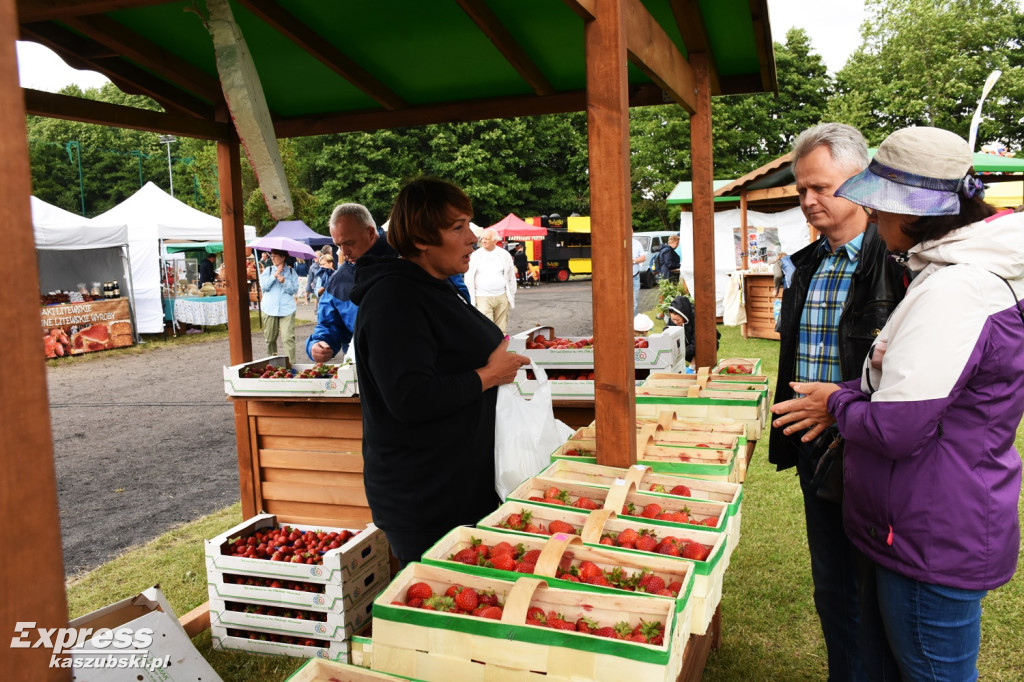 Festiwal Truskawek Kaszubskich w Chmielnie
