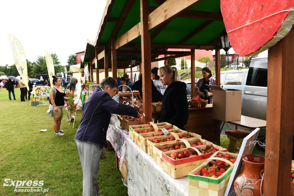 Festiwal Truskawek Kaszubskich w Chmielnie