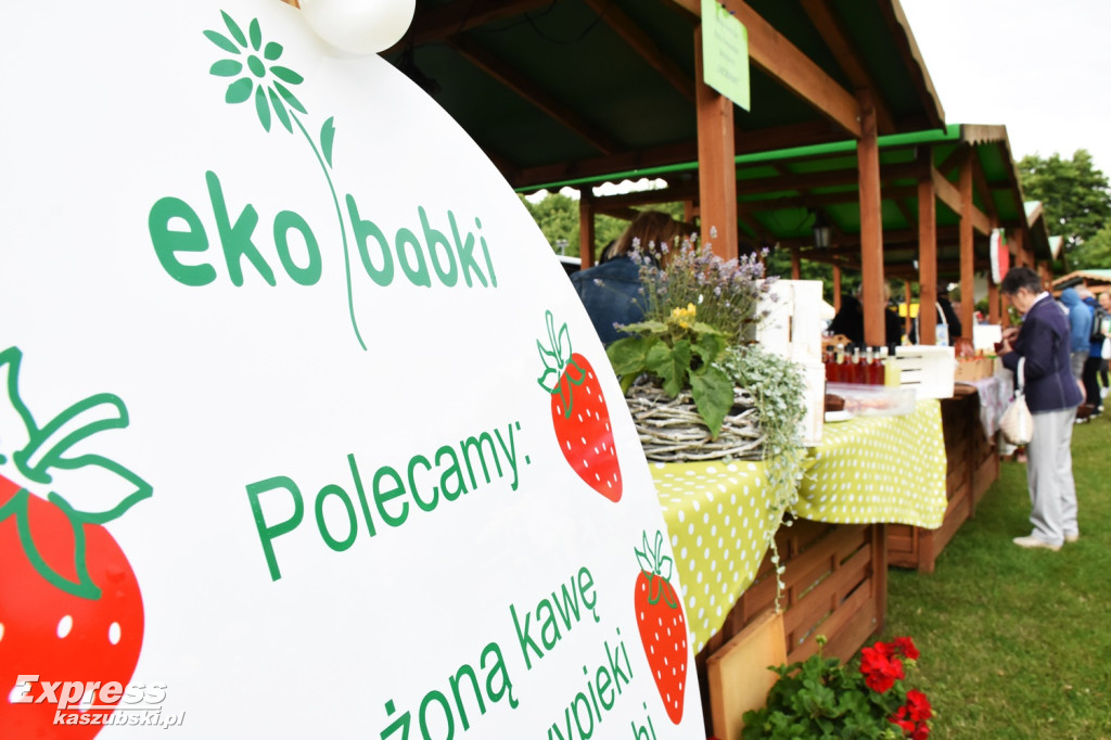 Festiwal Truskawek Kaszubskich w Chmielnie