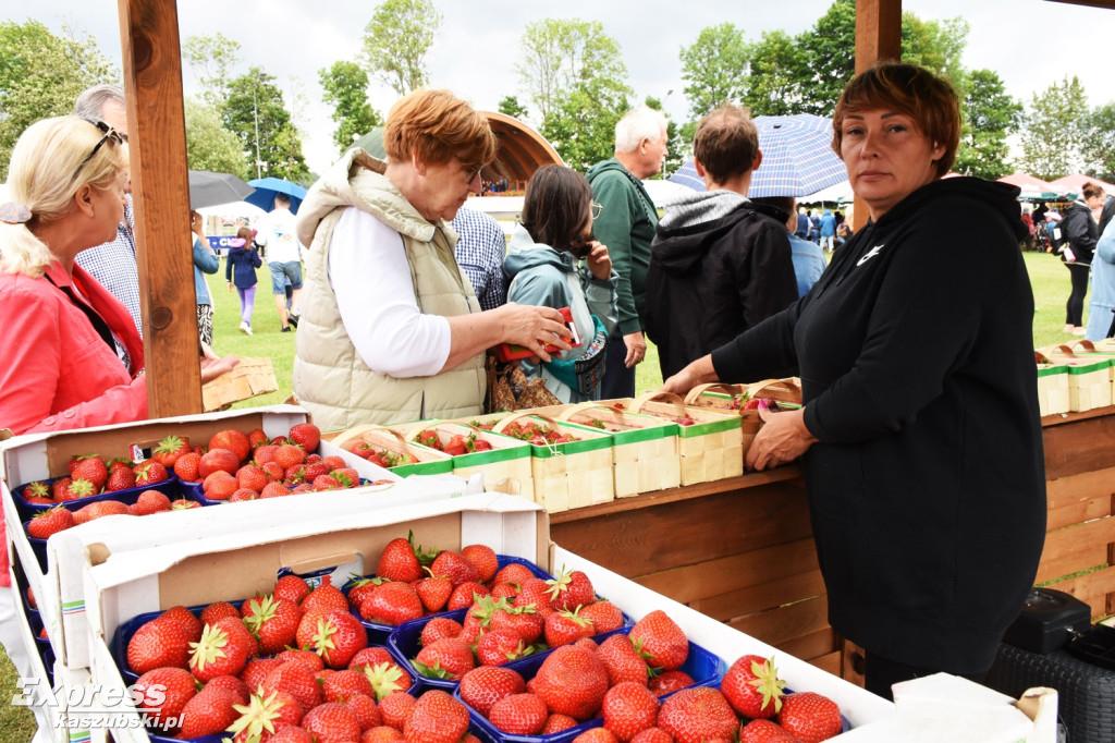 Festiwal Truskawek Kaszubskich w Chmielnie