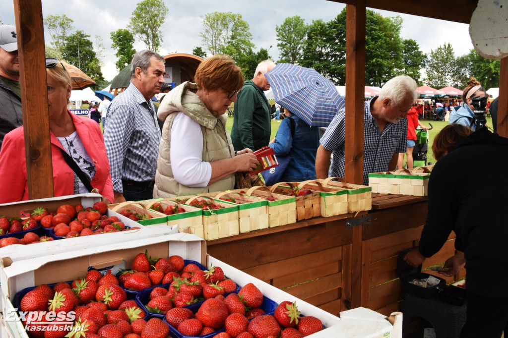 Festiwal Truskawek Kaszubskich w Chmielnie