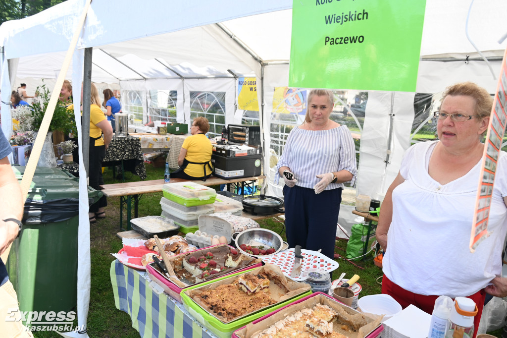 Święto Organizacji Pozarządowych w Kartuzach