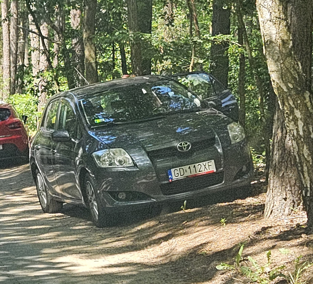 Nieprawidłowe parkowanie w Borkowie