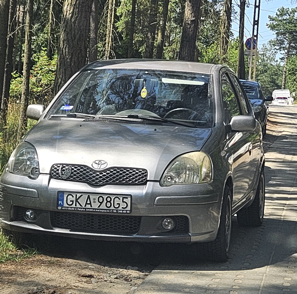 Nieprawidłowe parkowanie w Borkowie