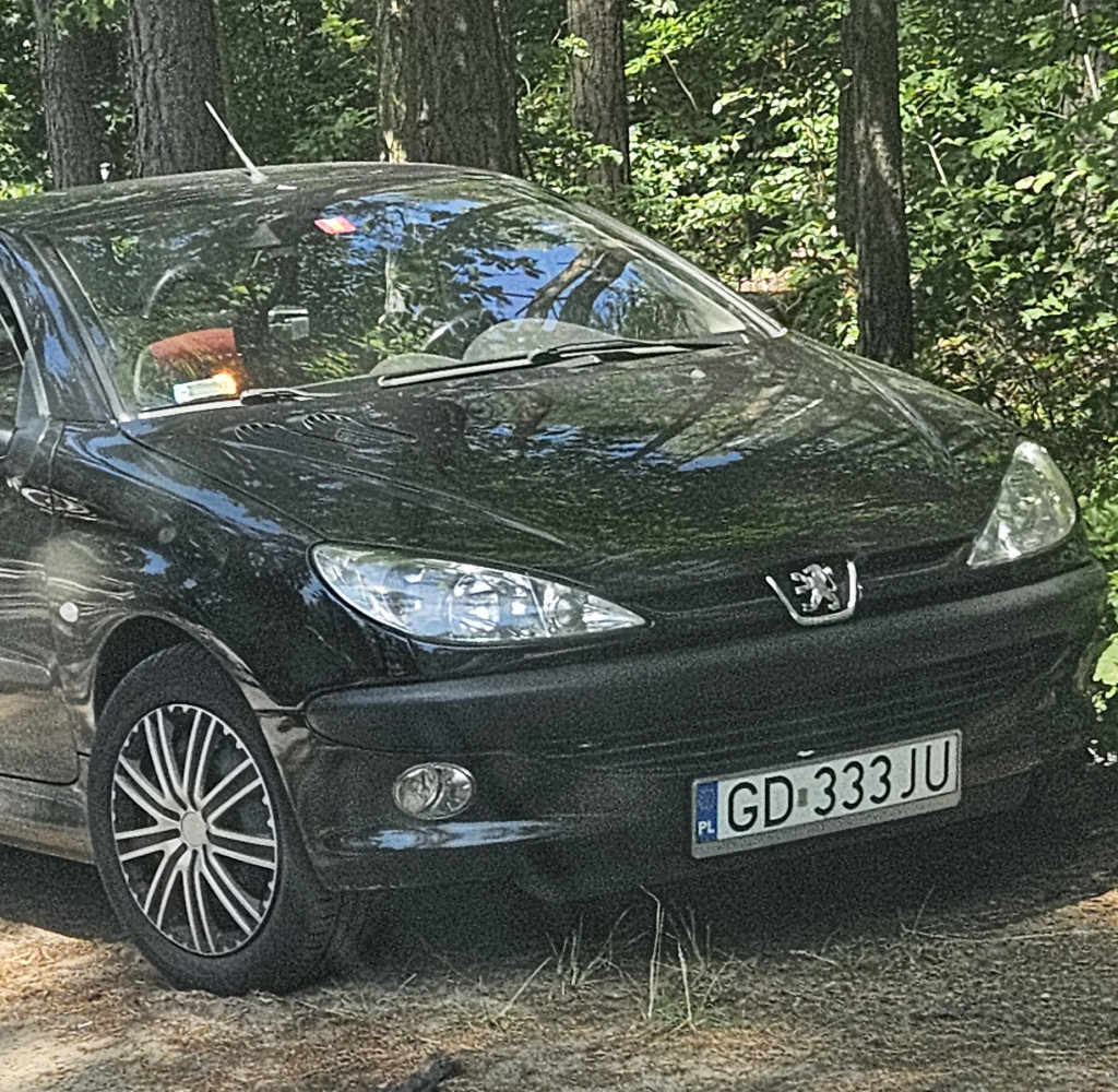 Nieprawidłowe parkowanie w Borkowie