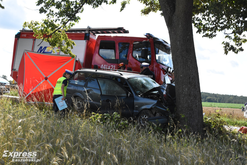 Śmiertelny wypadek w Klukowej Hucie
