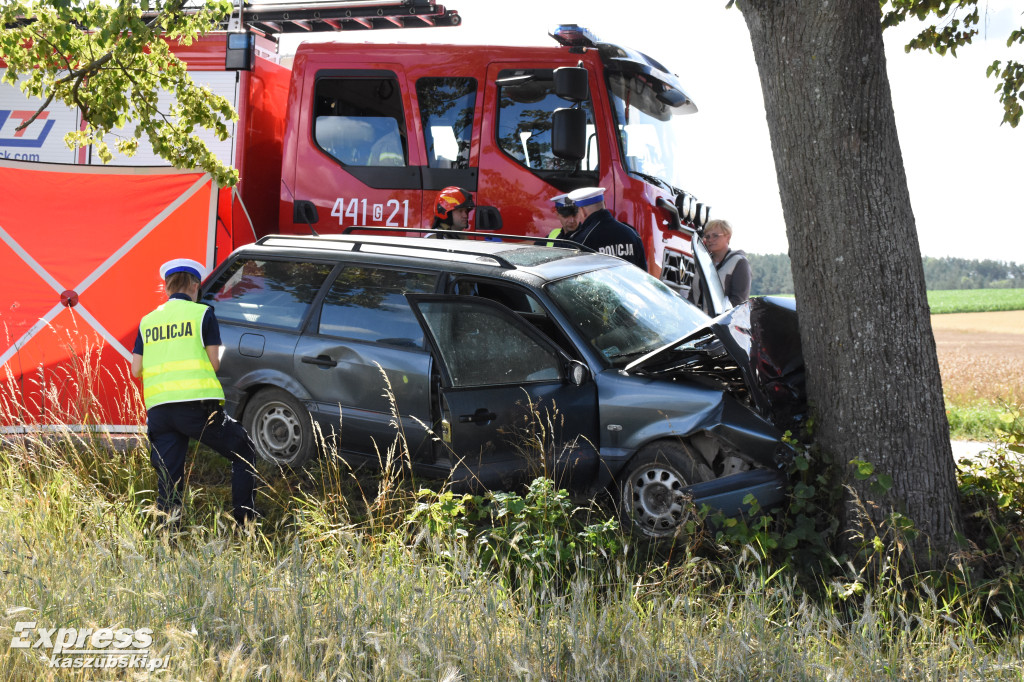 Śmiertelny wypadek w Klukowej Hucie