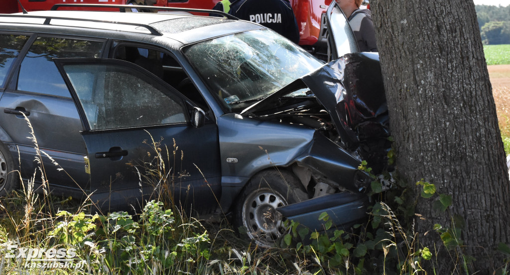 Śmiertelny wypadek w Klukowej Hucie