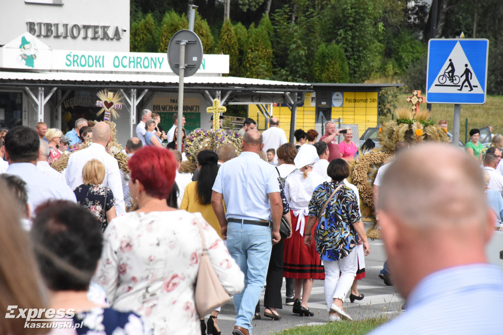 Korowód dożynkowy w Przodkowie