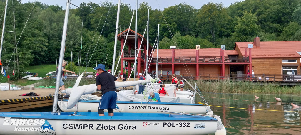 Różowy Goździk na Złotej Górze