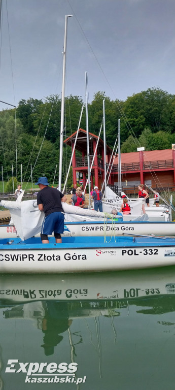 Różowy Goździk na Złotej Górze