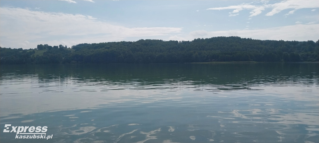 Różowy Goździk na Złotej Górze