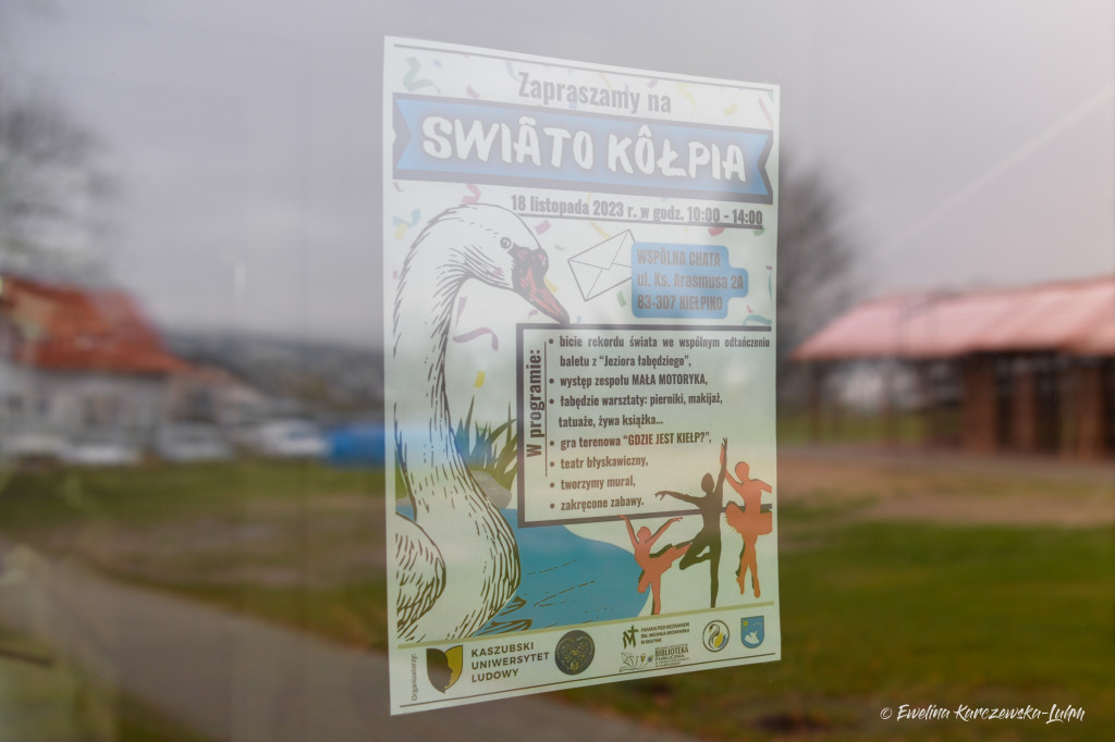 świeto łabędzia