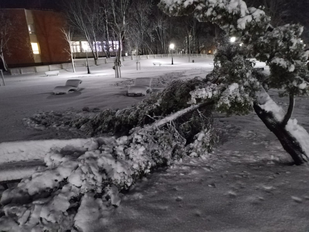 Skutki śnieżycy w pow. kartuskim