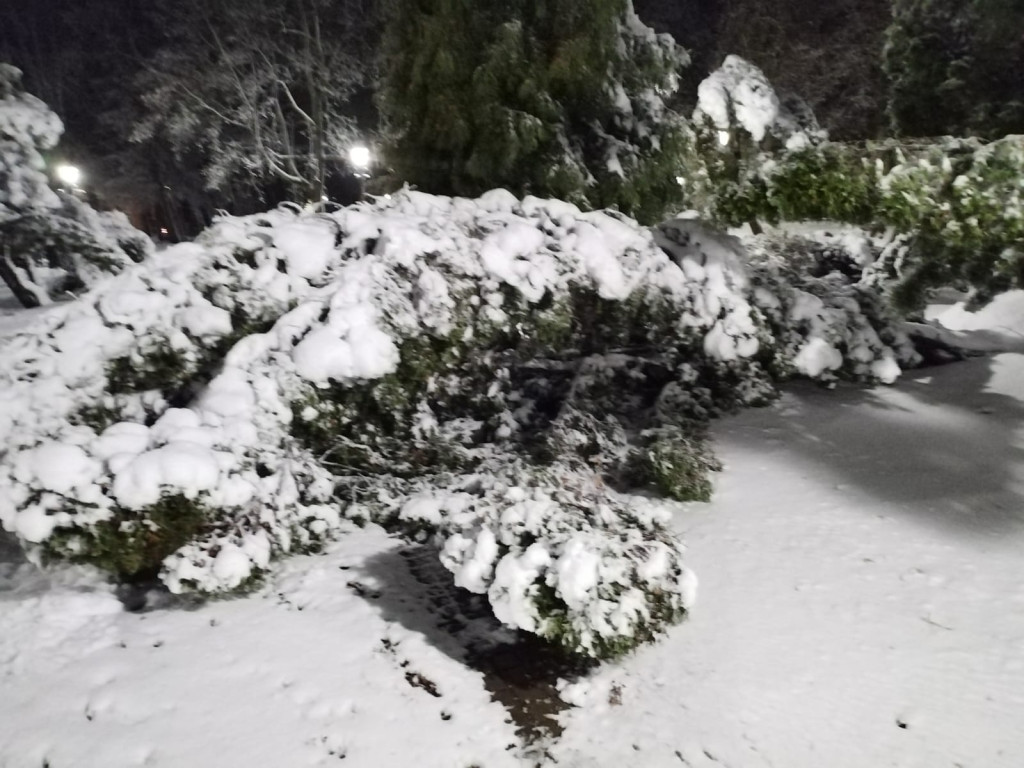 Skutki śnieżycy w pow. kartuskim