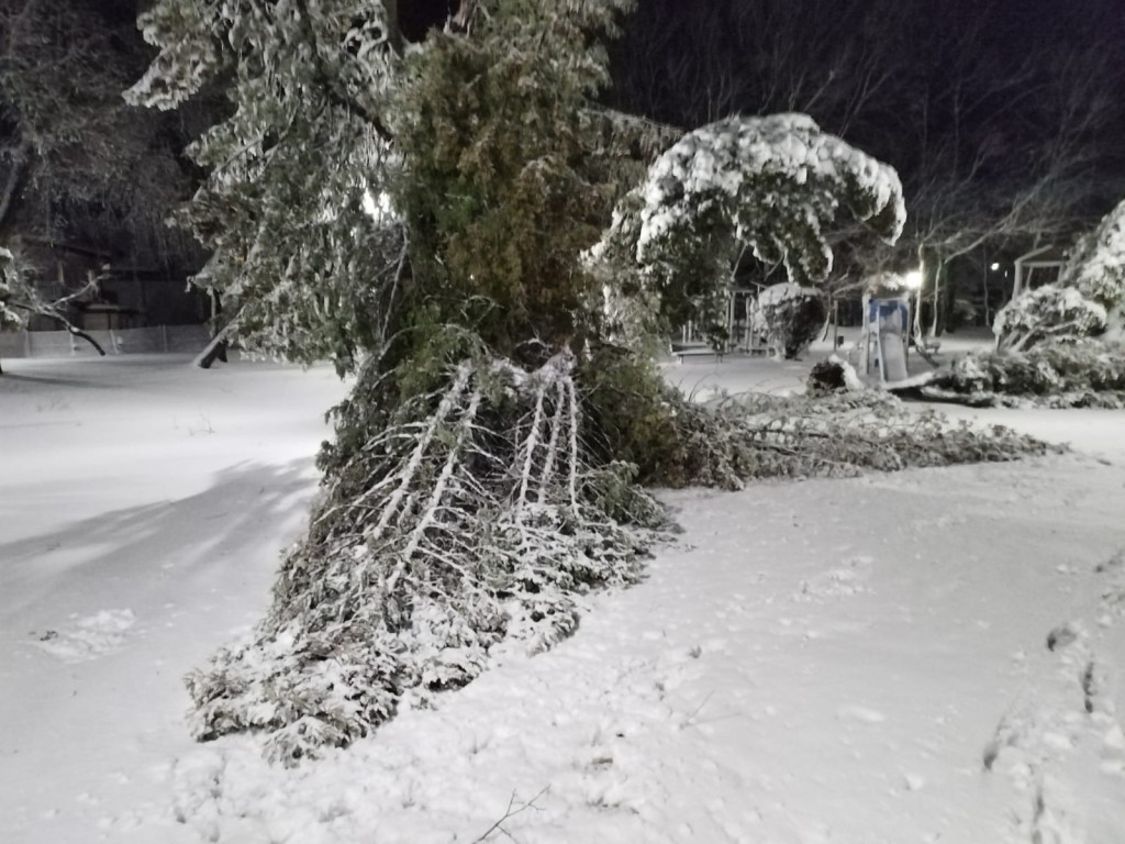 Skutki śnieżycy w pow. kartuskim