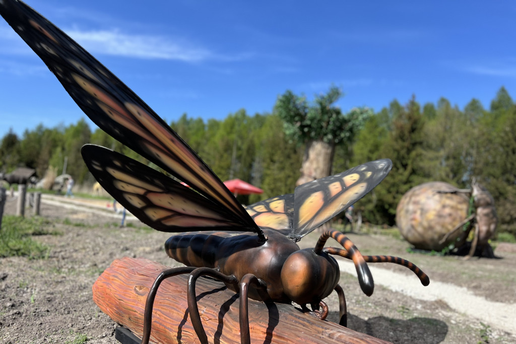 Rodzinny Park Rozrywki Nowa Holandia
