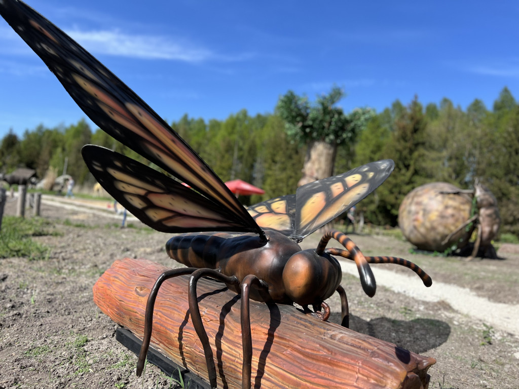 Rodzinny Park Rozrywki Nowa Holandia