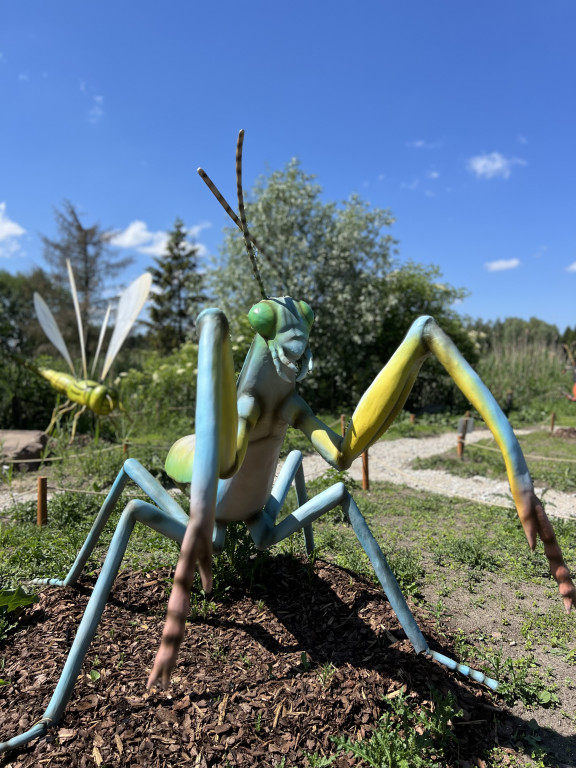 Rodzinny Park Rozrywki Nowa Holandia