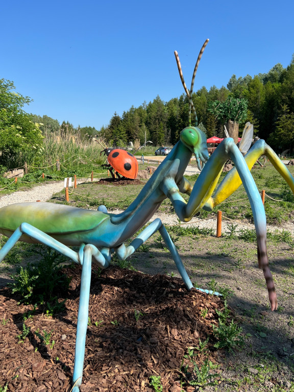 Rodzinny Park Rozrywki Nowa Holandia
