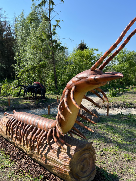 Rodzinny Park Rozrywki Nowa Holandia