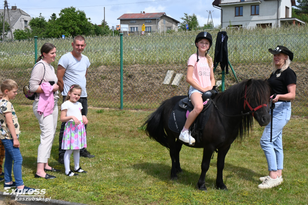 Festyn rodzinny w Puzdrowie