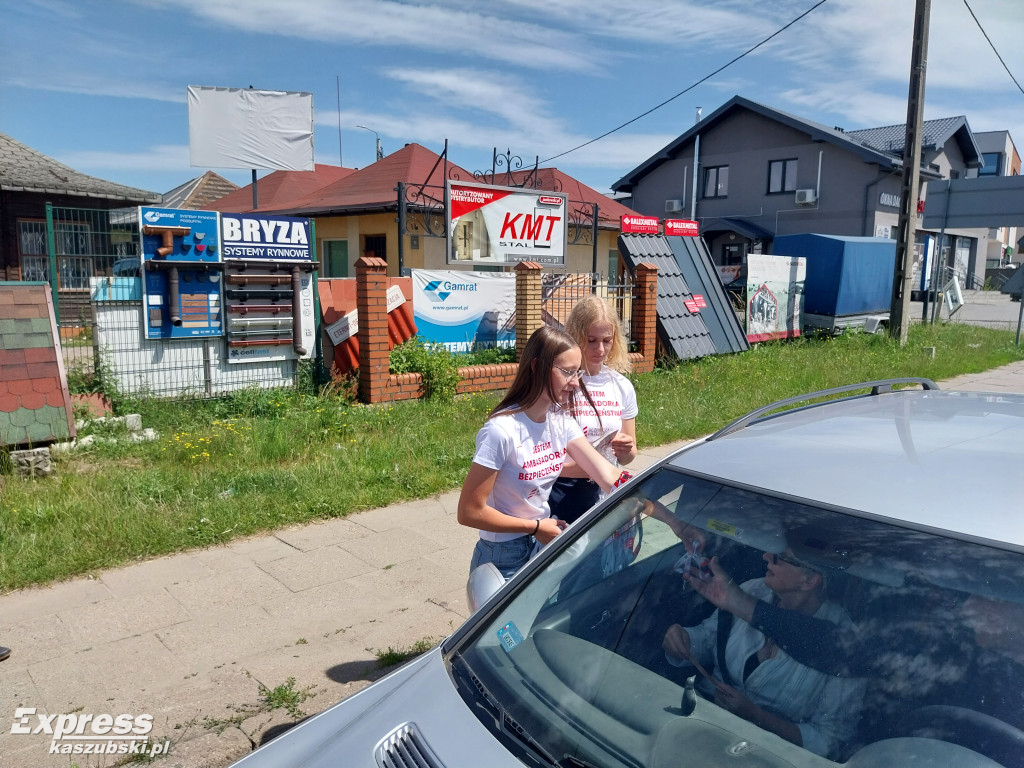 Akcja 
