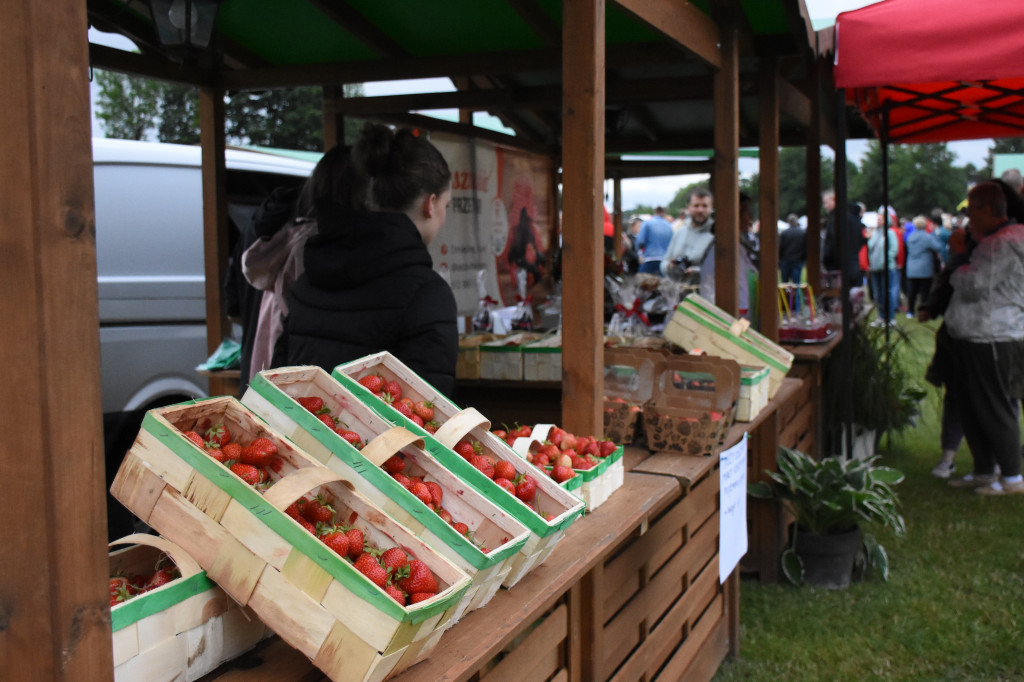 Festiwal Truskawek Kaszubskich w Chmielnie