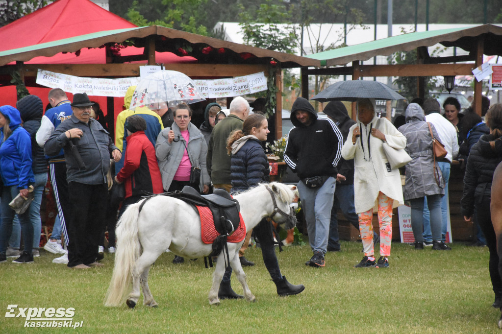 Festiwal Truskawek Kaszubskich w Chmielnie