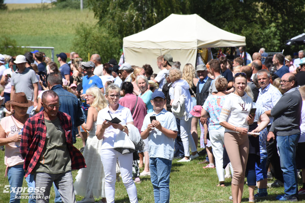 Jubileuszowa parada bryczek i zaprzęgów konnych