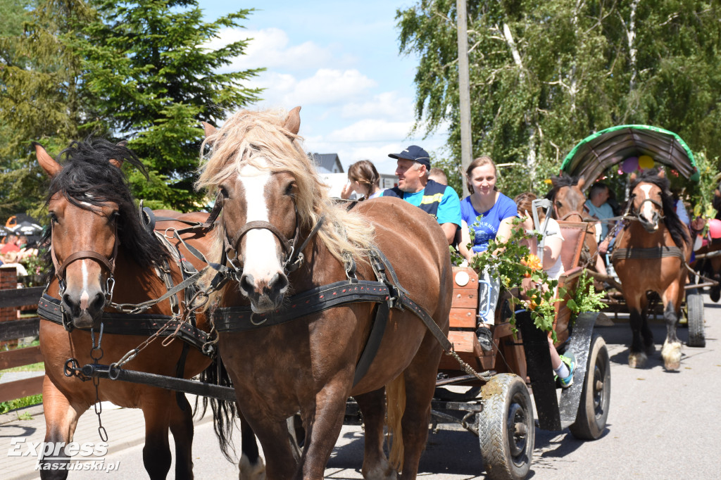 Jubileuszowa parada bryczek i zaprzęgów konnych