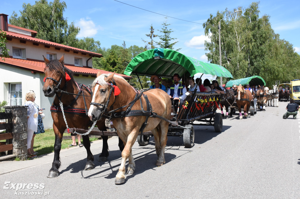 Jubileuszowa parada bryczek i zaprzęgów konnych