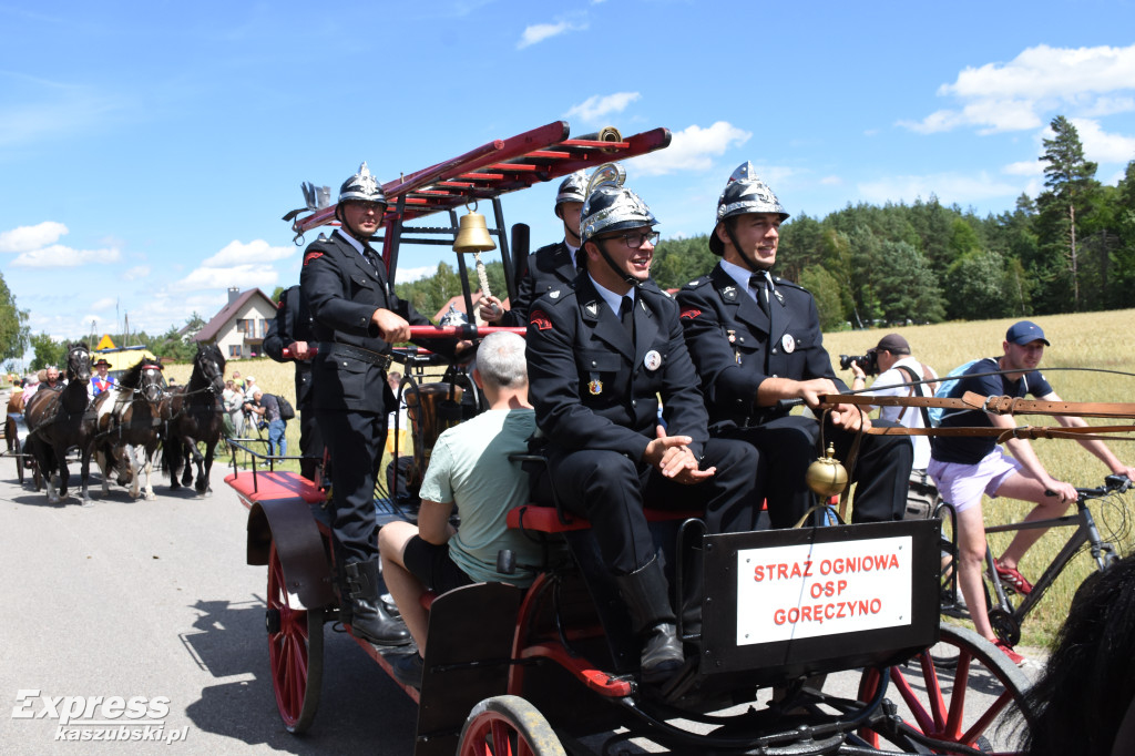 Jubileuszowa parada bryczek i zaprzęgów konnych