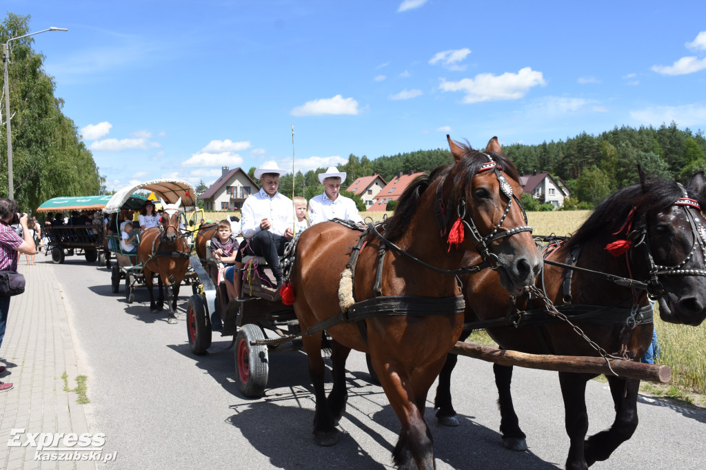 Jubileuszowa parada bryczek i zaprzęgów konnych