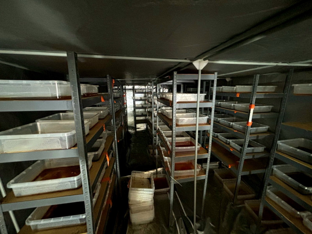 Zlikwidowano laboratoria do produkcji narkotyków