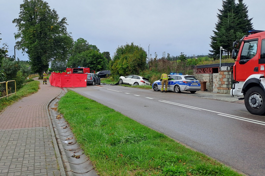 Śmiertelny wypadek w Puzdrowie