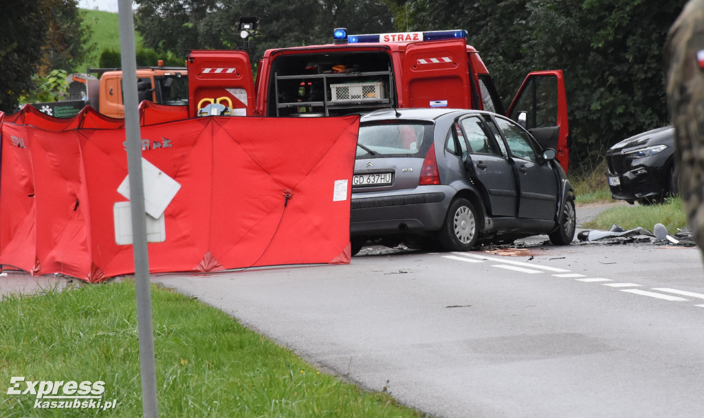 Śmiertelny wypadek w Puzdrowie